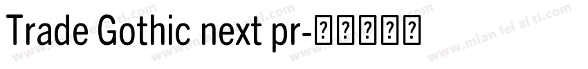 Trade Gothic next pr字体转换